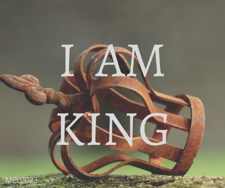 I AM KING, Hasselt