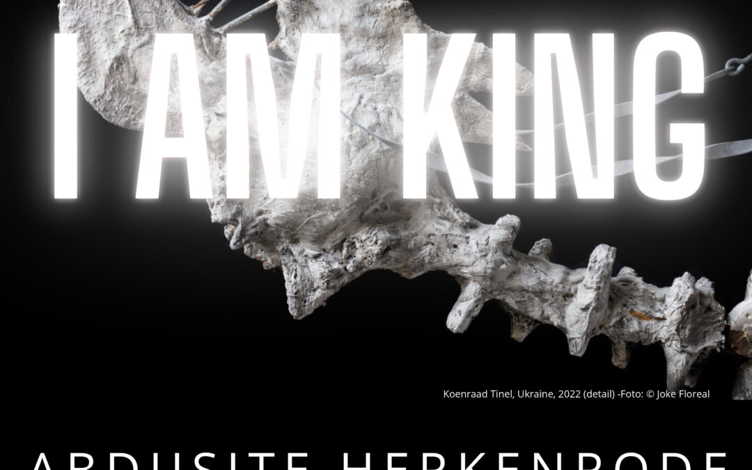 I AM KING, Hasselt